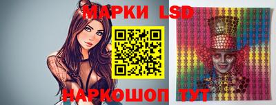 прущие грибы Будённовск