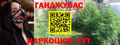 прущие грибы Будённовск