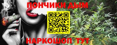 прущие грибы Будённовск