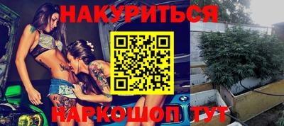 прущие грибы Будённовск