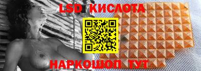 прущие грибы Будённовск