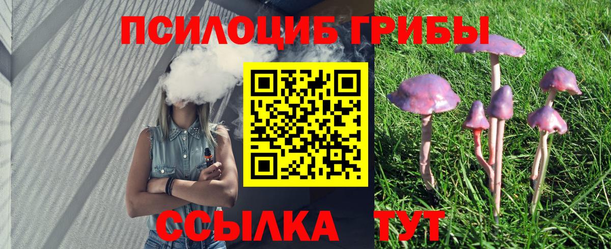 купить  сайты  Вход с VPN  Котовск  Псилоцибиновые грибы Psilocybine cubensis 