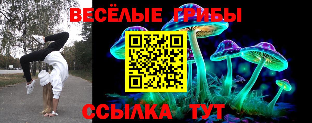Псилоцибиновые грибы Psilocybine cubensis Котовск